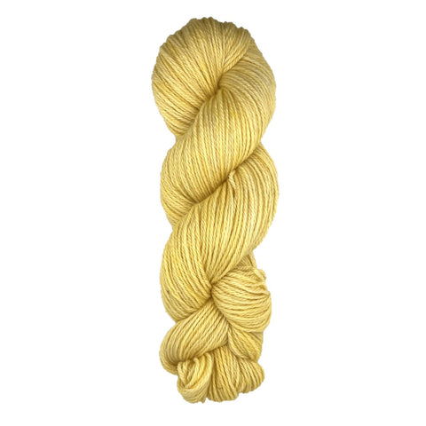 Pygmy Squid - #130BFL
